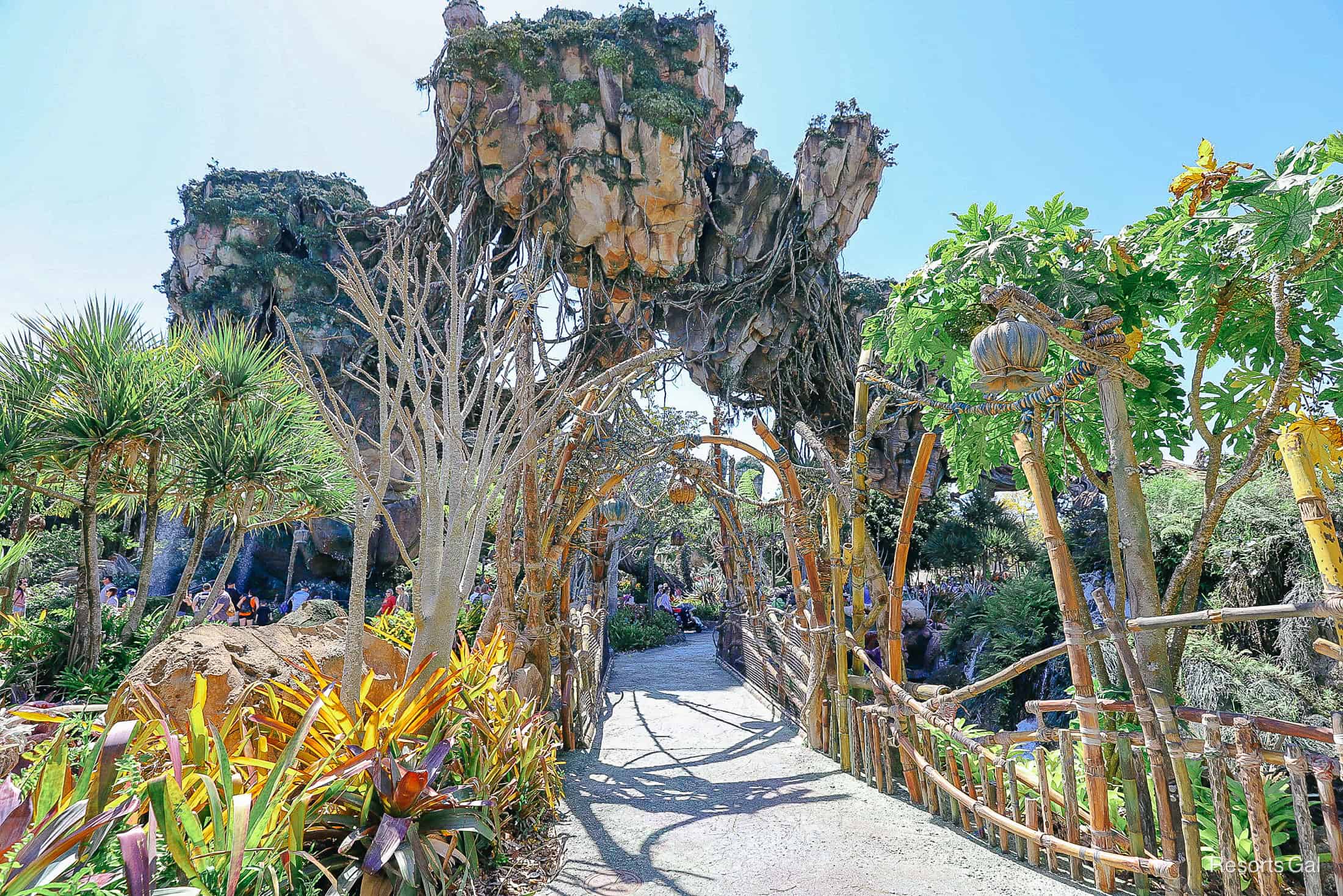 a bridge in the middle of Pandora, World of Avatar 