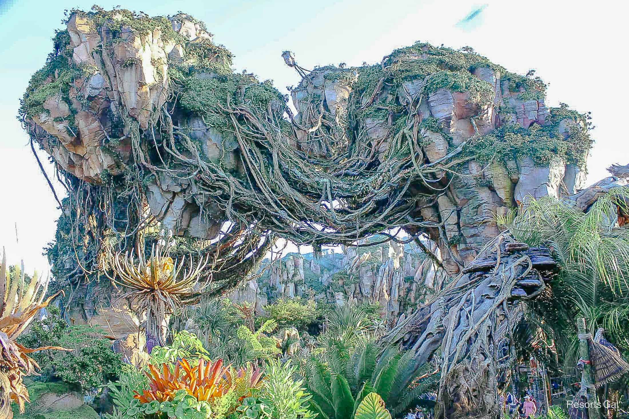 a photo of the sun casting light on the mountains in Pandora 