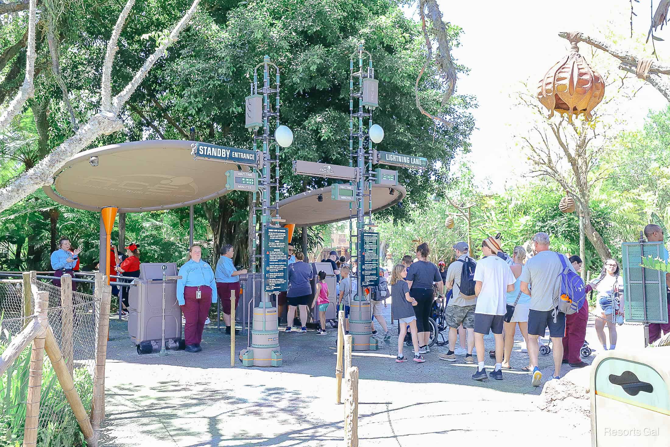 guests waiting in line to ride a banshee on Flight of Passage 