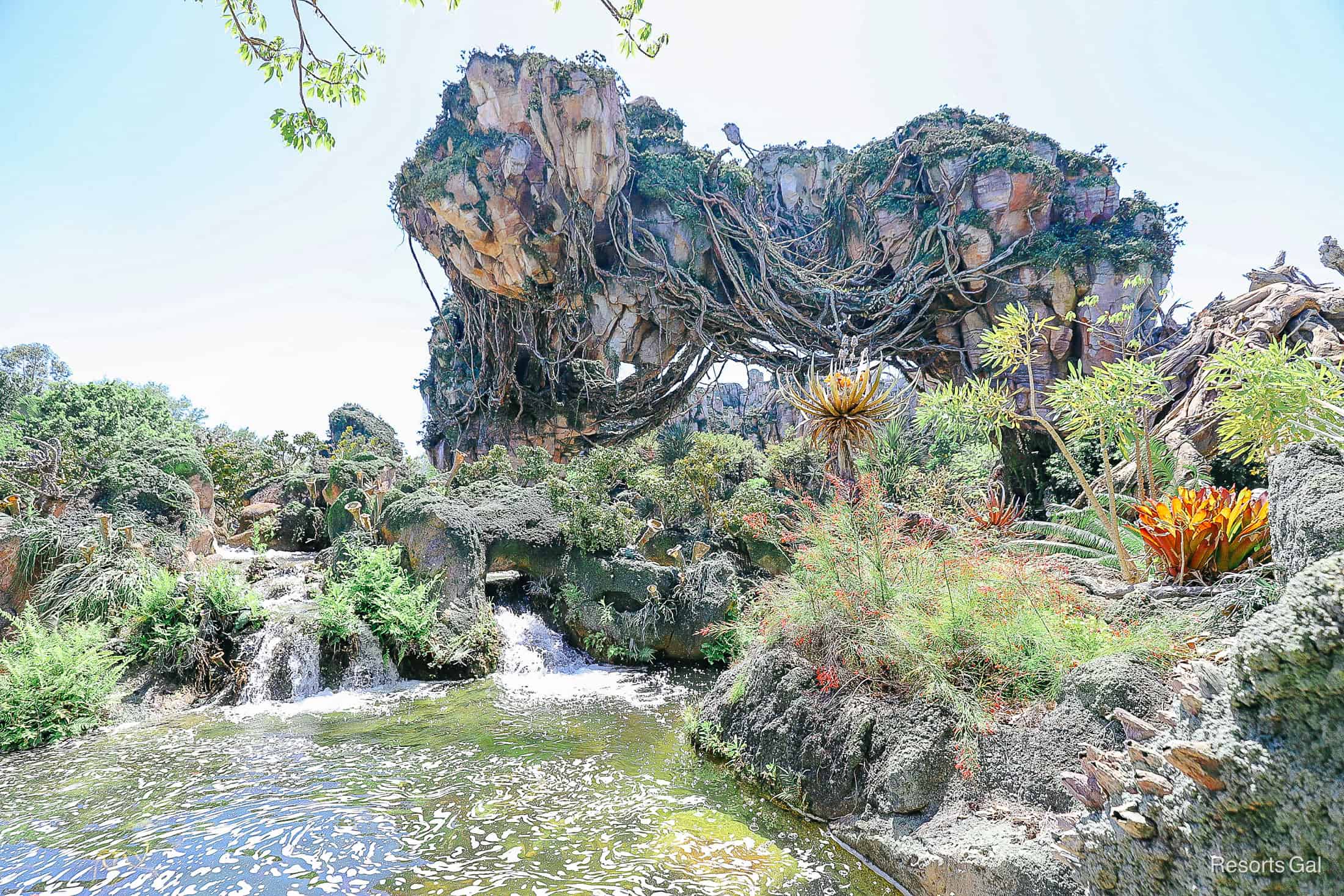 Pandora, World of Avatar Guide