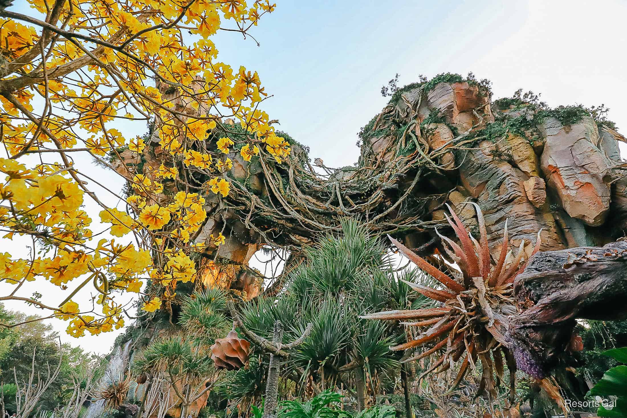 yellow blooming trees and the floating mountains of Pandora close to sunset 