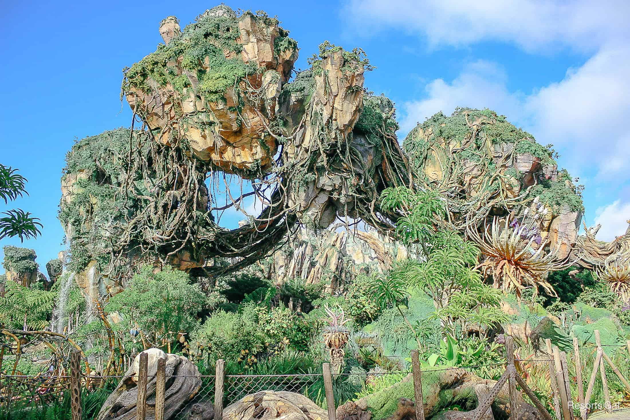 a picture of the Valley of Mo'ara at Disney's Animal Kingdom close to Flight of Passage 