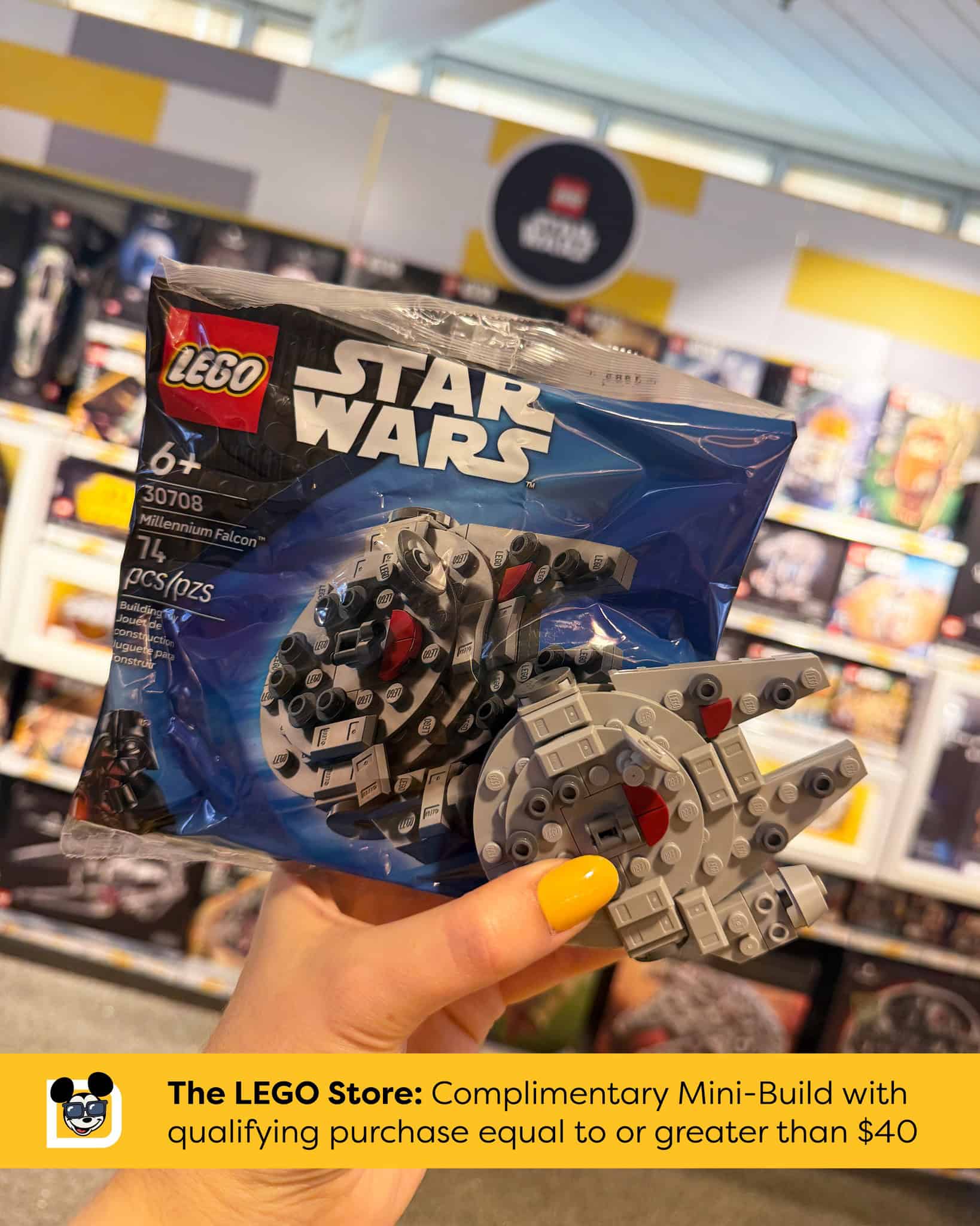 Passholder Lego Set