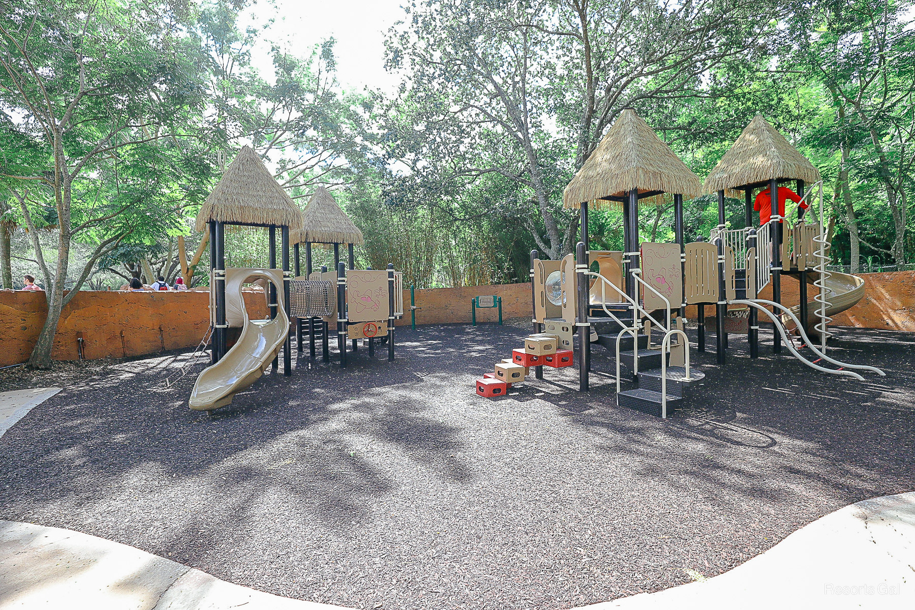 playground equipment at Animal Kingdom Lodge 