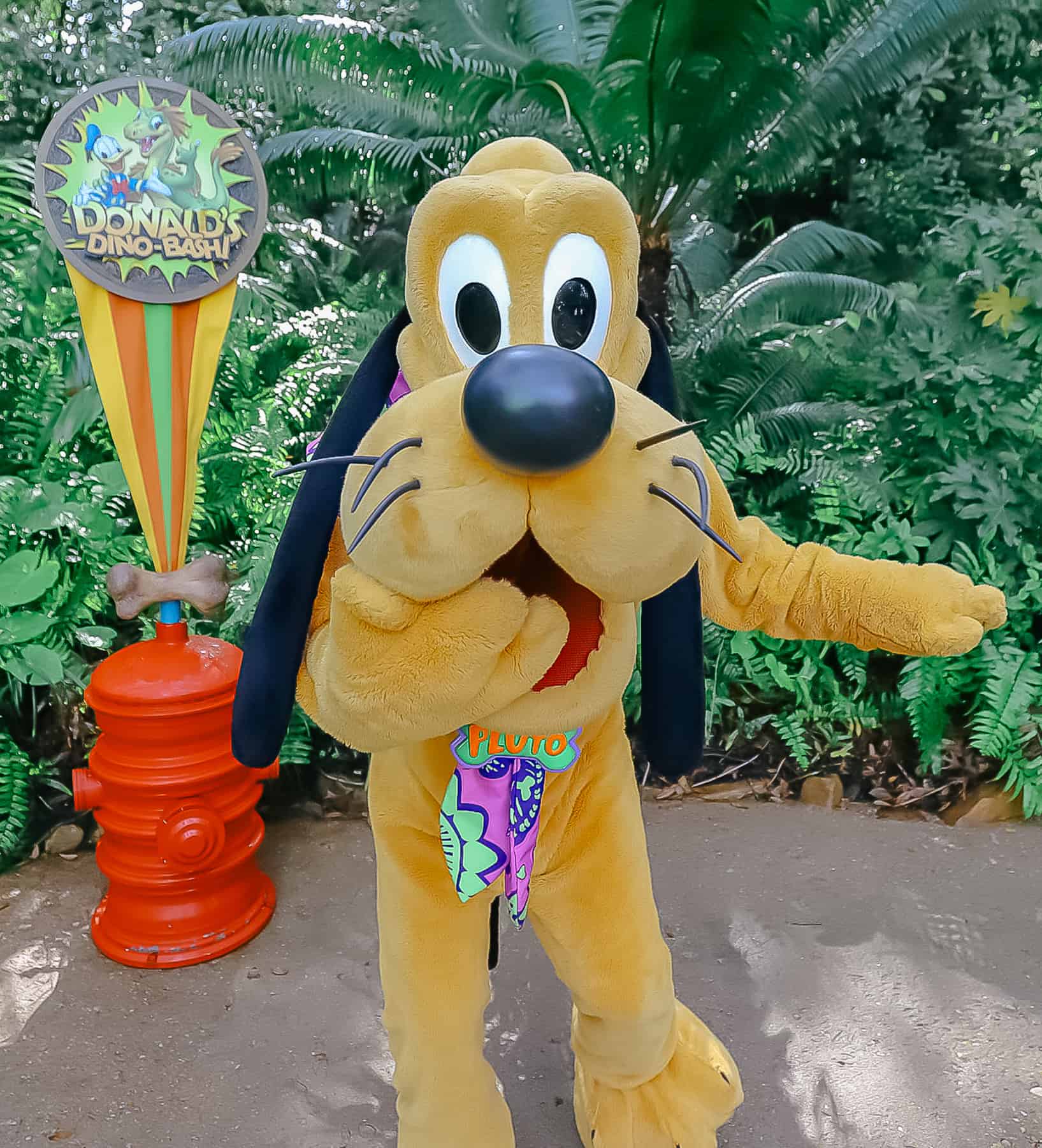 Pluto poses for the camera 