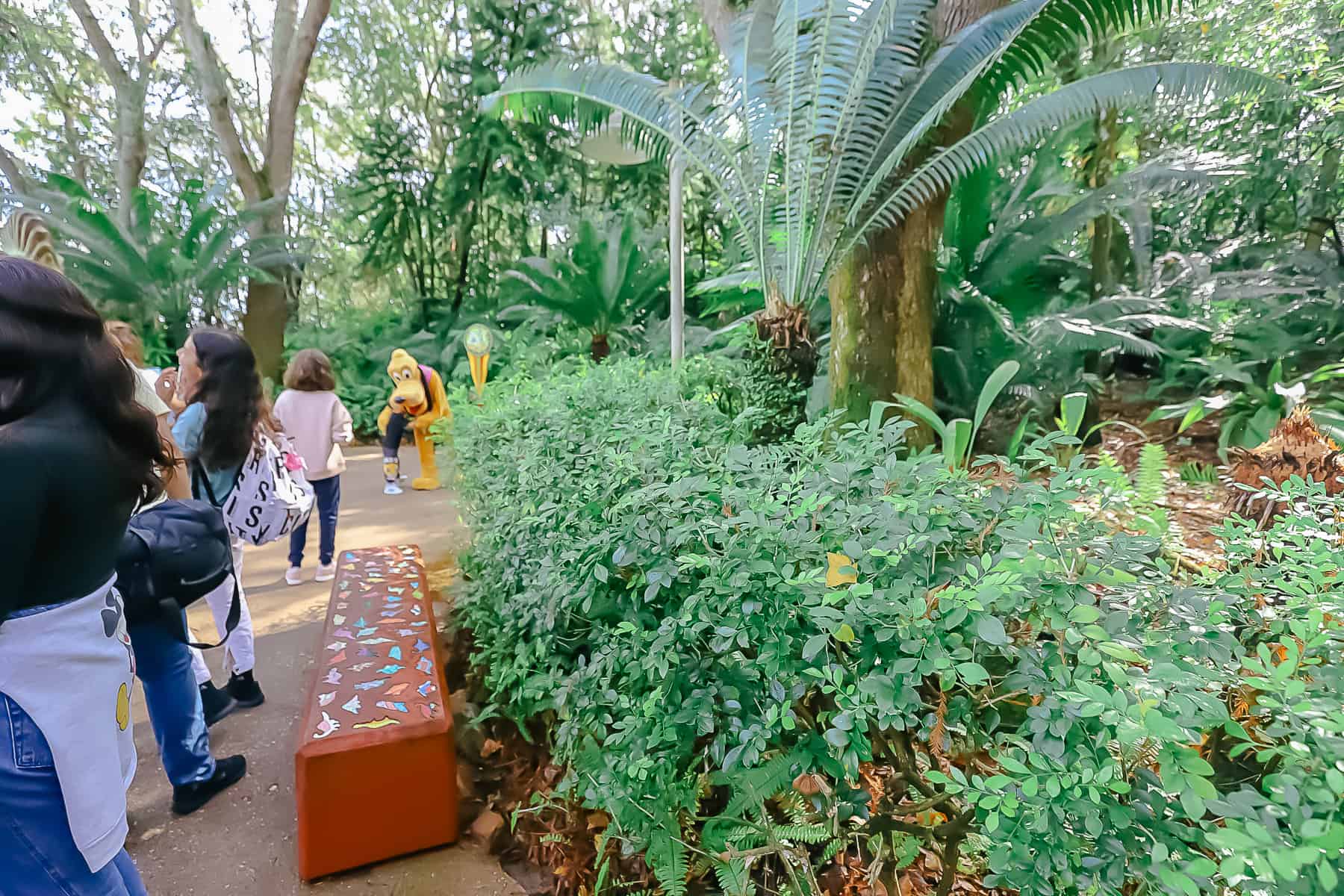 guests waiting to meet Pluto 