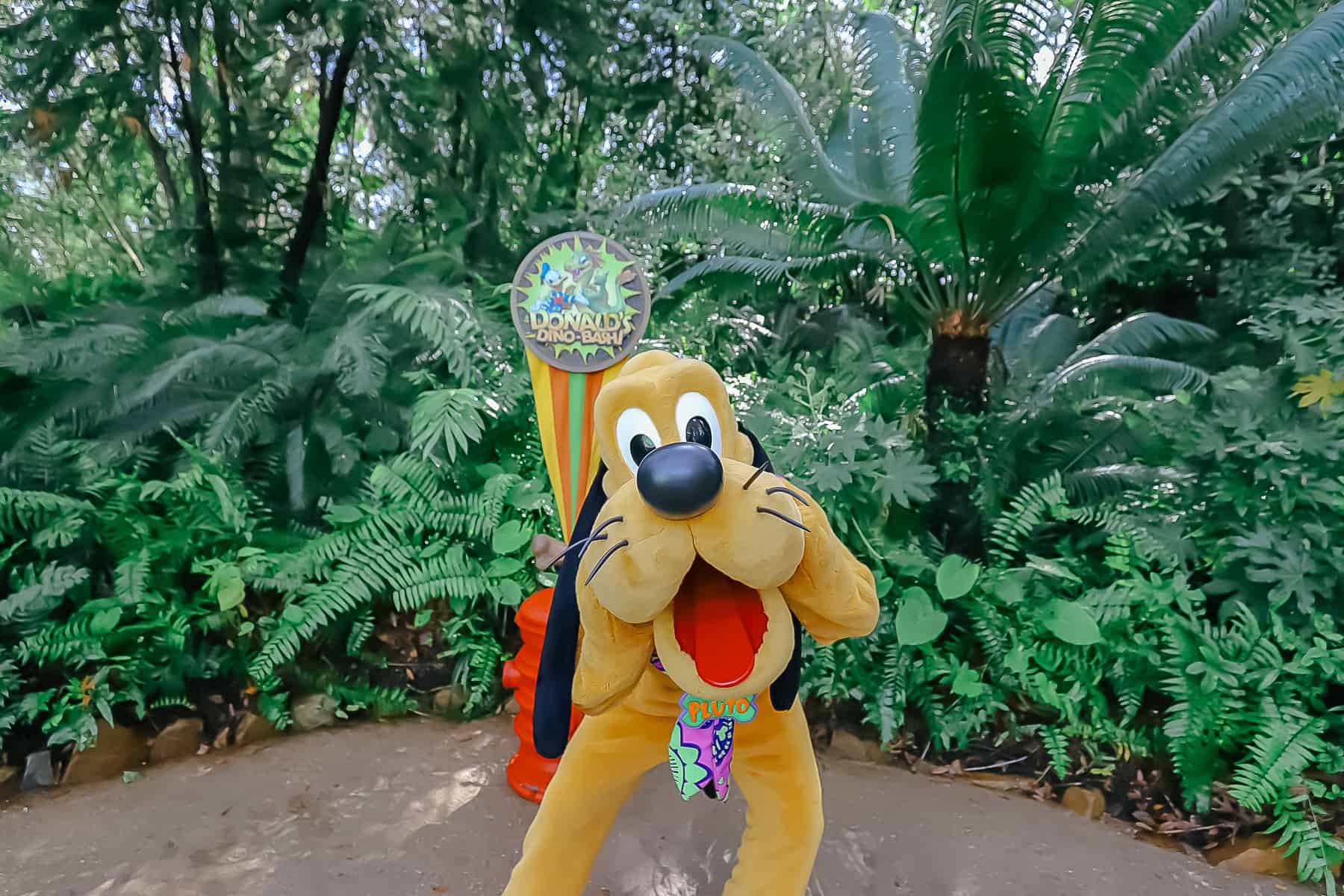 Pluto greets guests. 