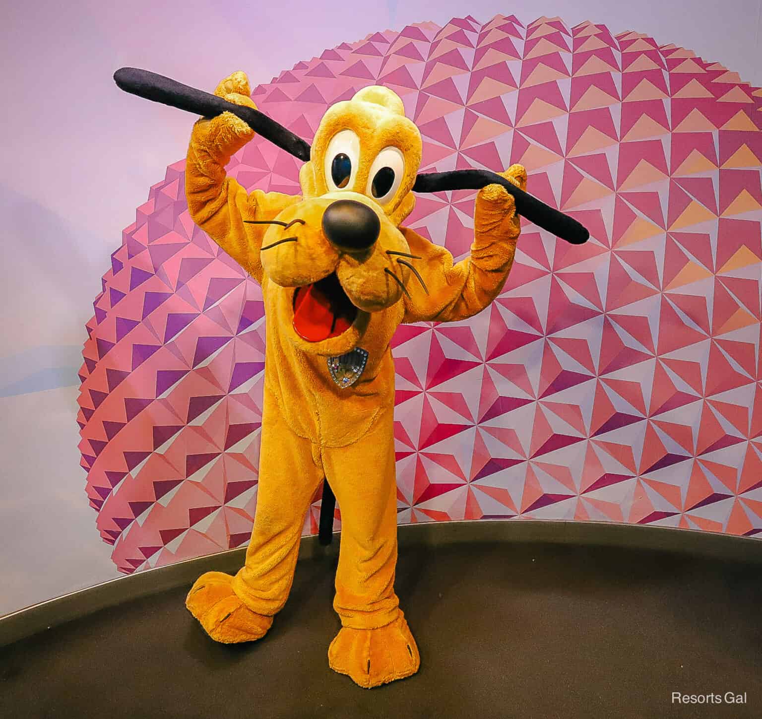 character-spotlight-pluto-at-walt-disney-world-resorts-gal