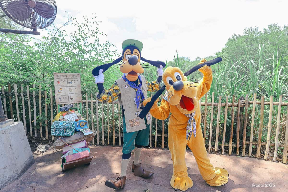 Goofy in his camping outfit and Pluto wearing a scarf