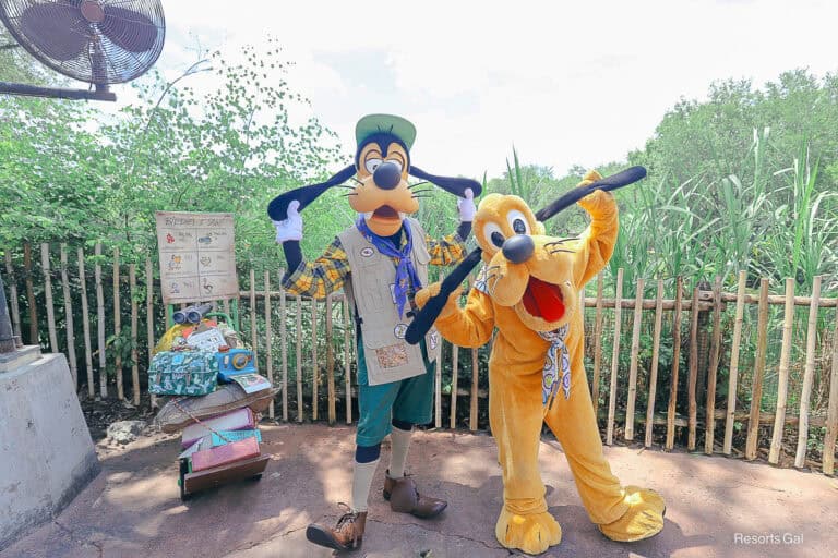 Goofy in his camping outfit and Pluto wearing a scarf