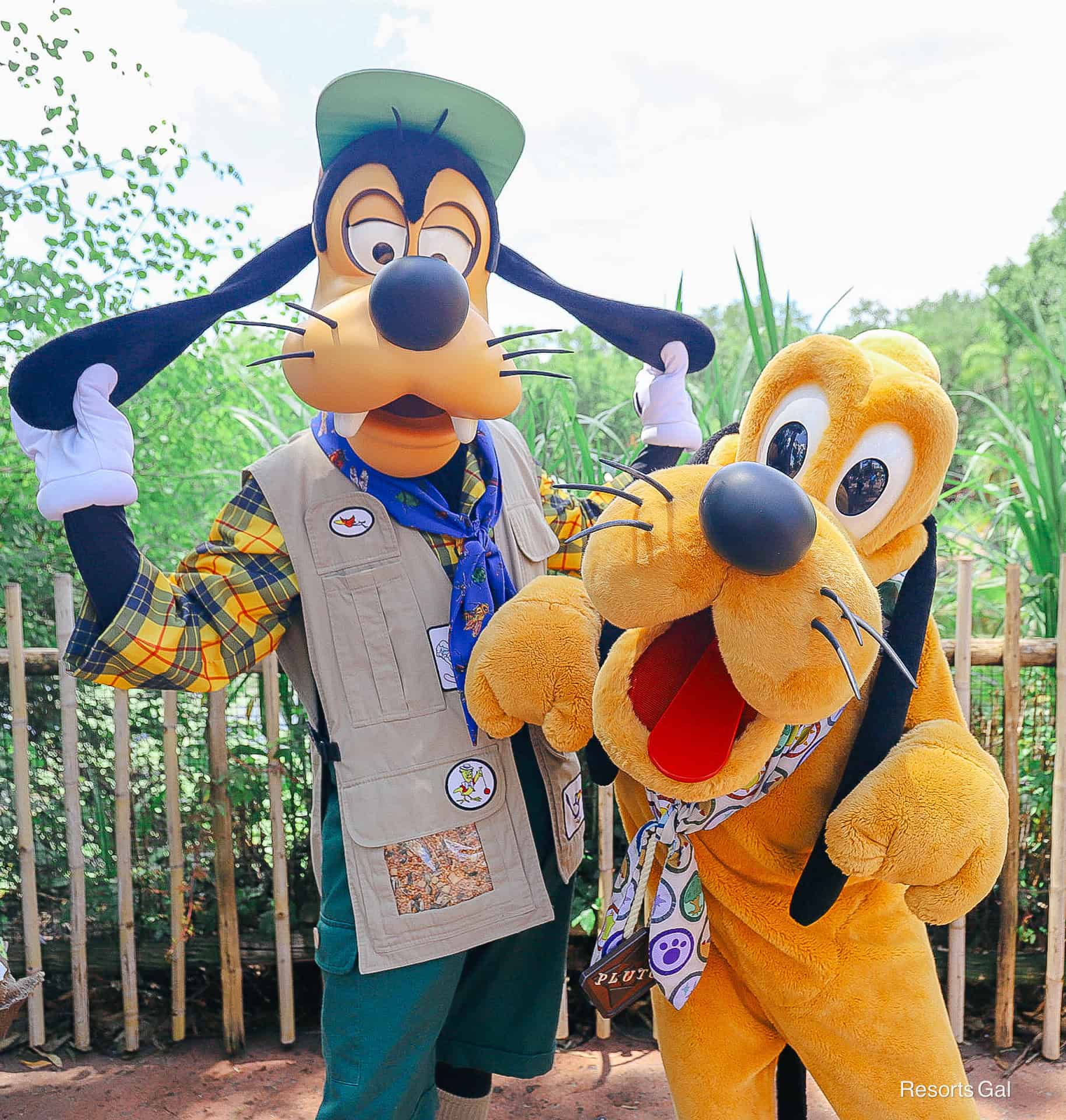 a closeup of Goofy on the left and Pluto on the right