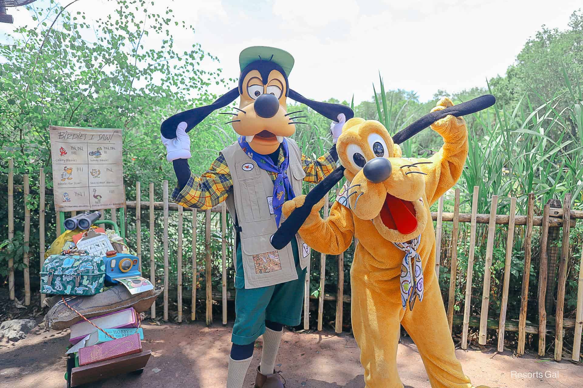 Pluto and Goofy both hold ears out as they pose for a photo.