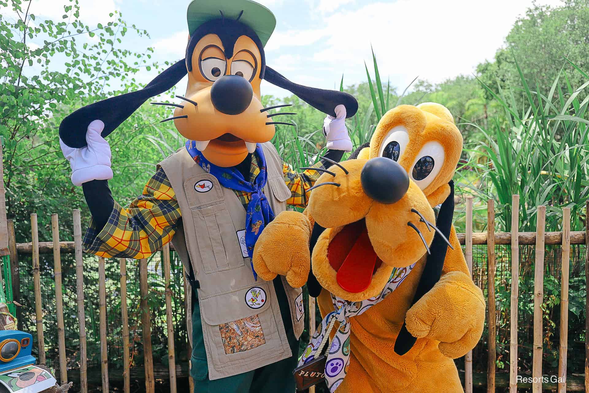 Goofy and Pluto in the Asia section of Disney's Animal Kingdom