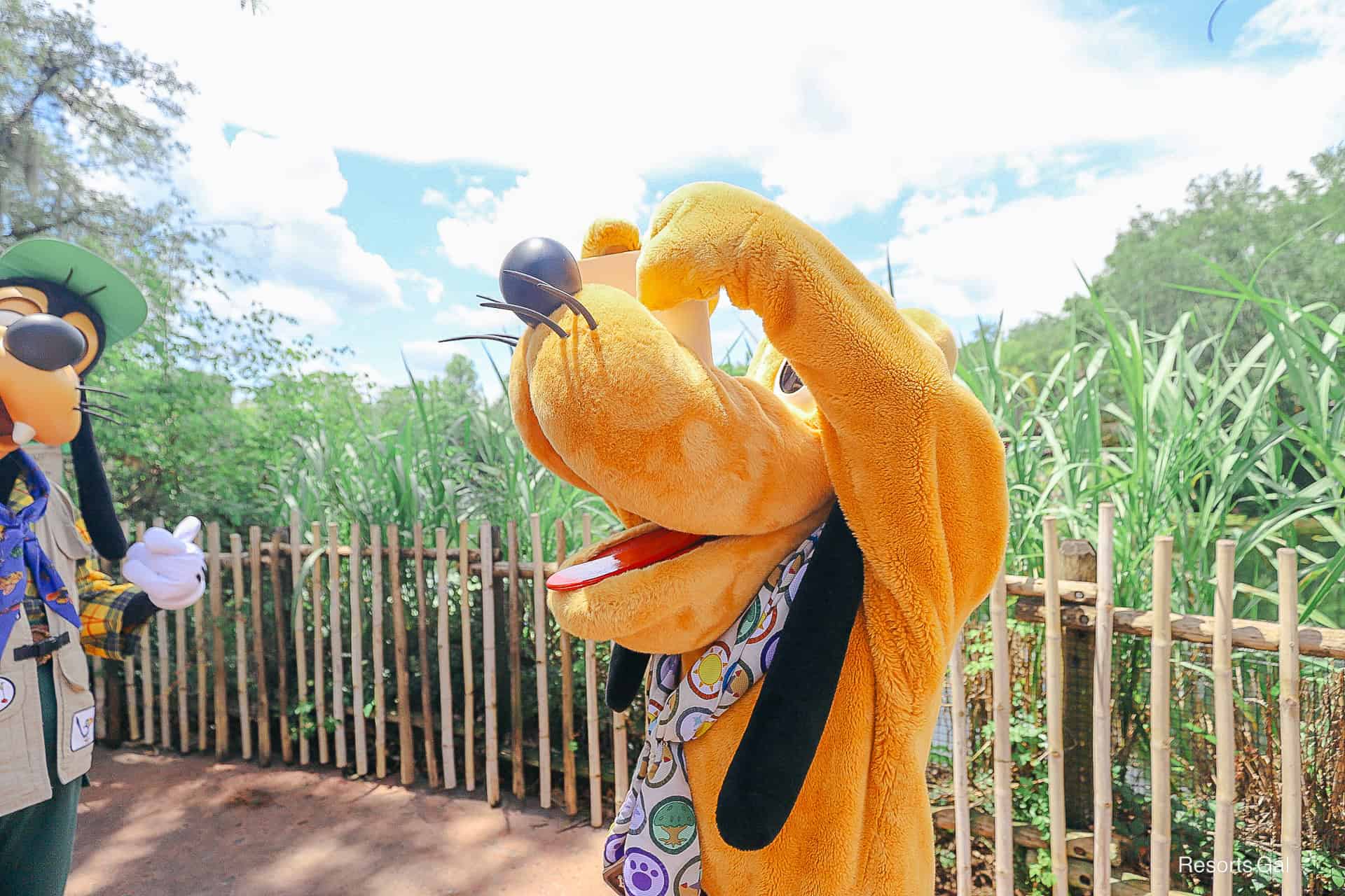 Pluto signs autograph with the book on his nose.