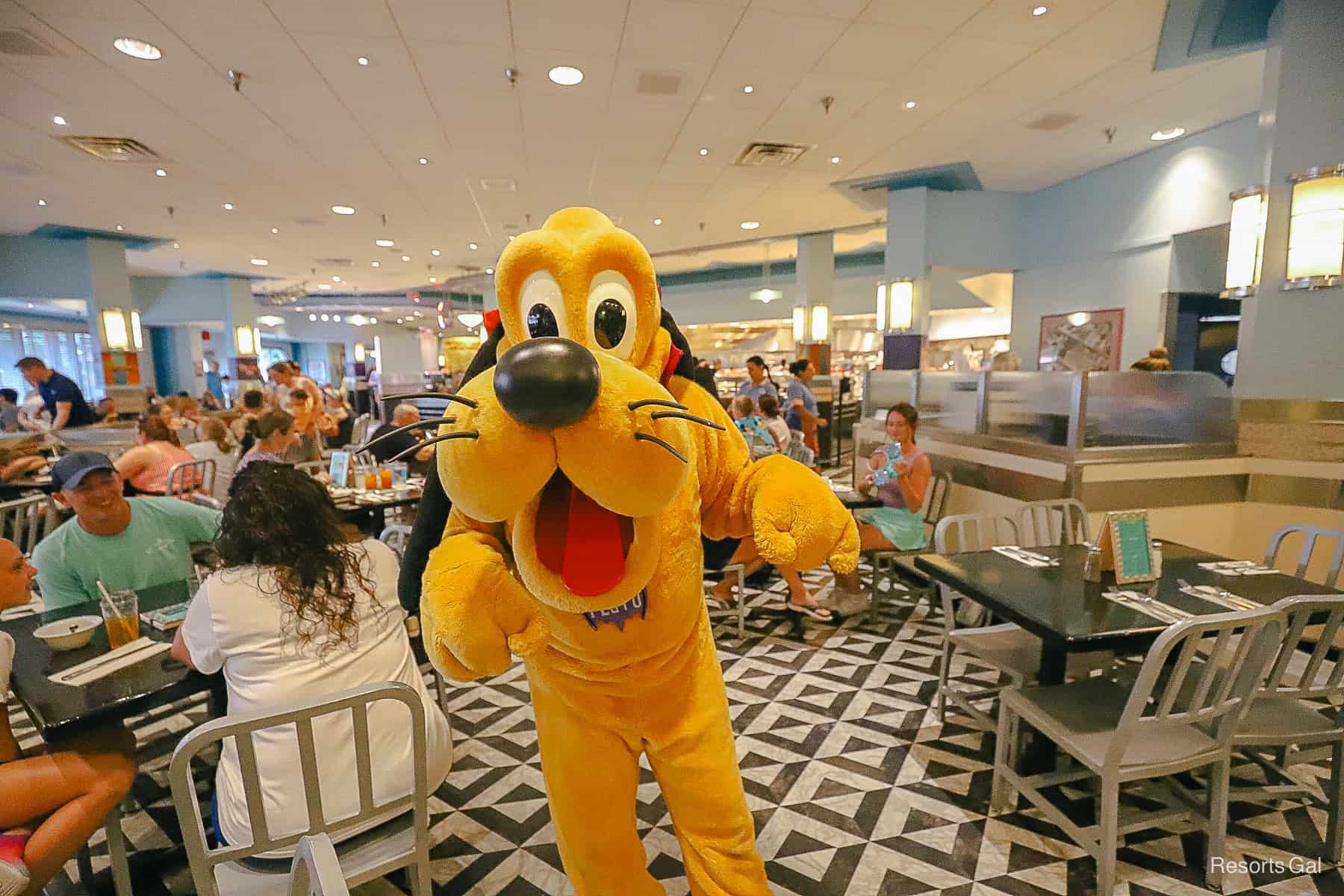Pluto at our table during Minnie's Halloween Dine 