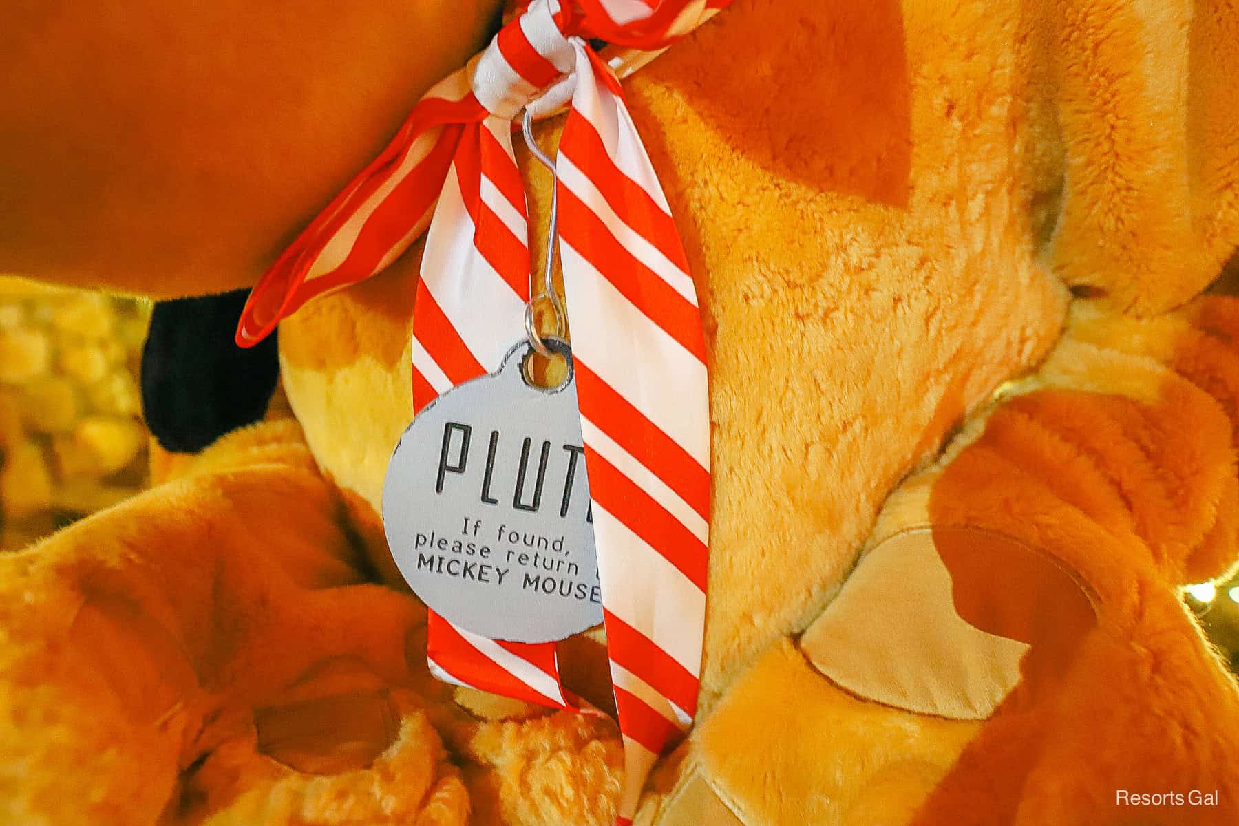 Pluto wearing a tag that reads "If found, please return to Mickey Mouse." 