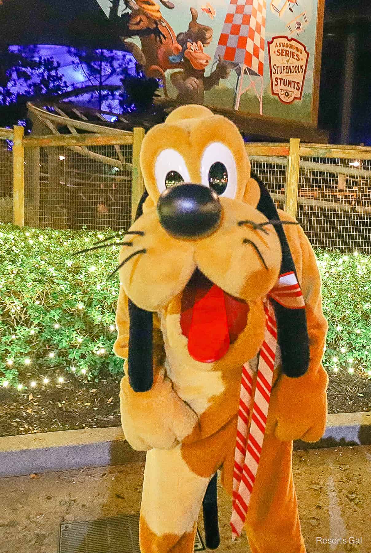 Pluto vertical in holiday outfit 