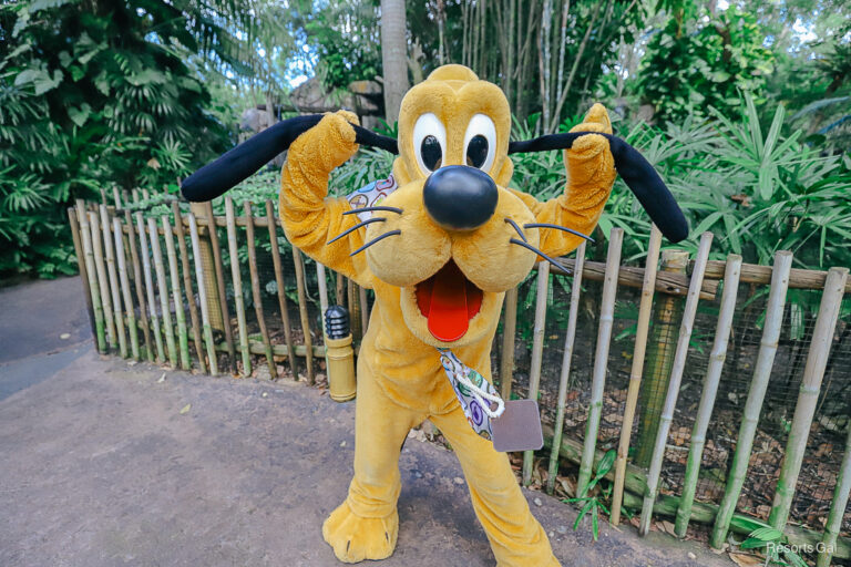 Meet Pluto in The Oasis at Disney’s Animal Kingdom