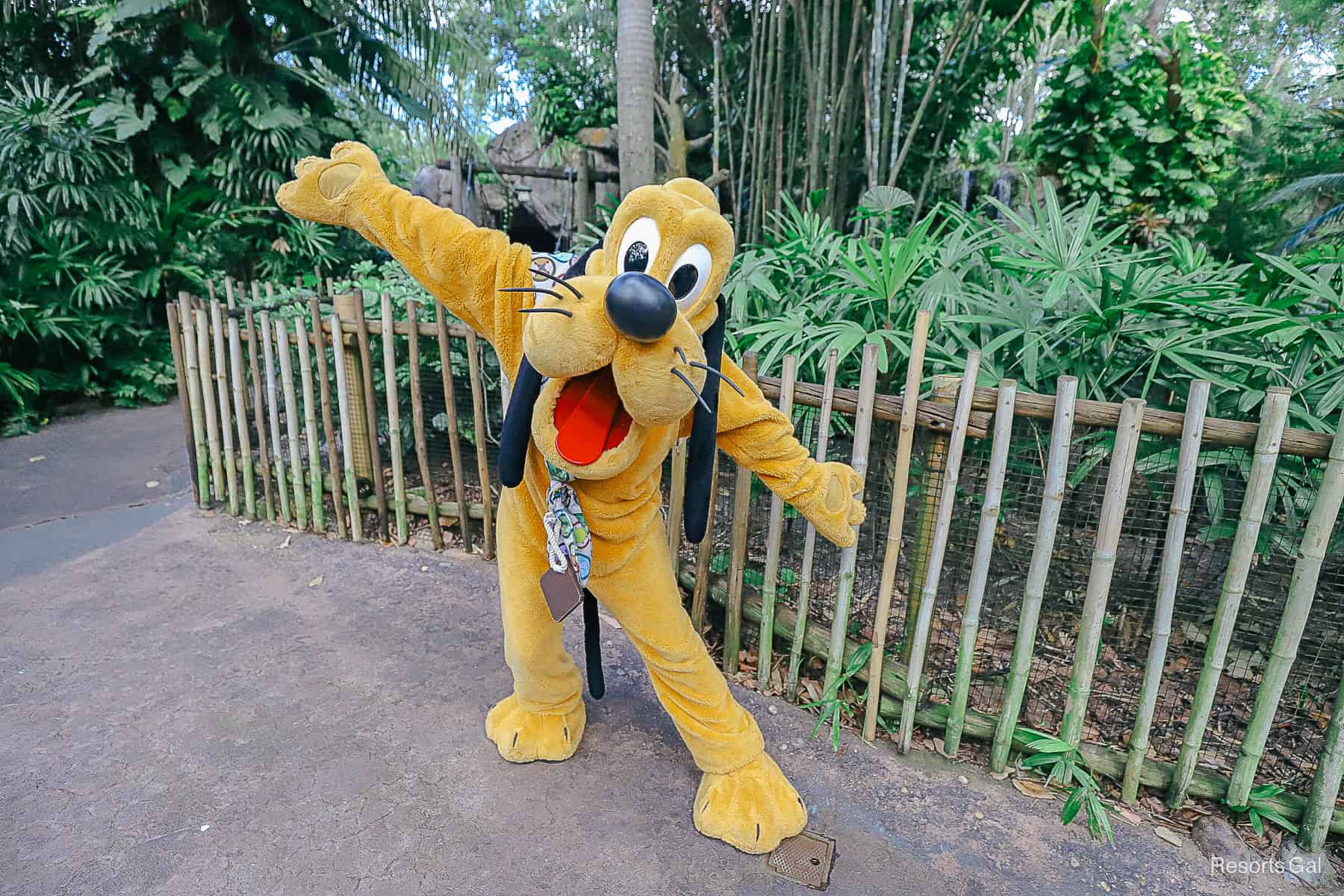 Pluto poses with arms wide open.