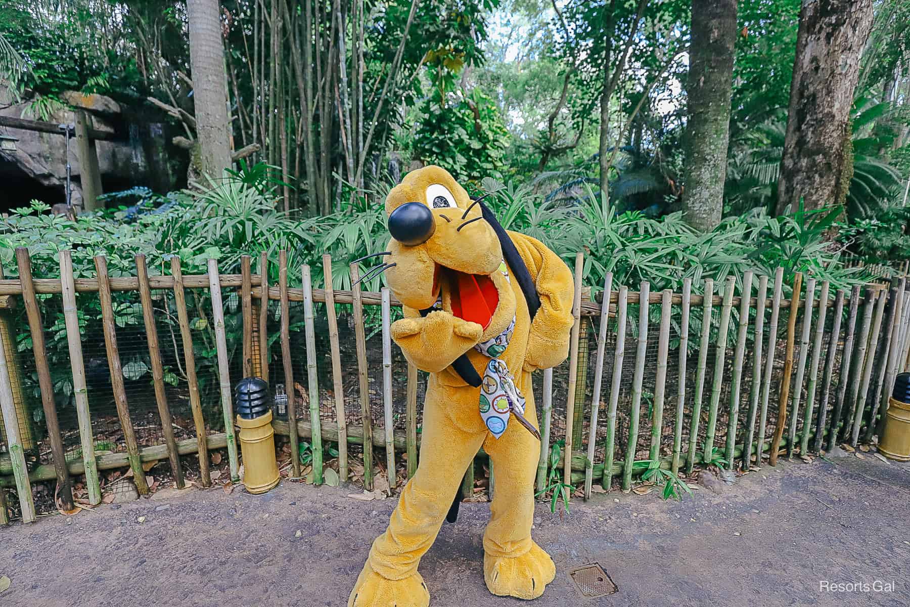 Pluto blows a kiss for the camera.