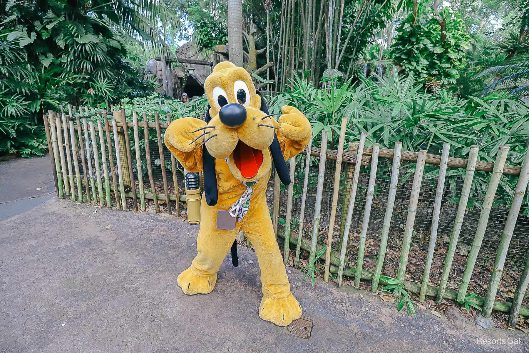 Pluto wearing a Wilderness Explorer badge at his Oasis meet-and-greet
