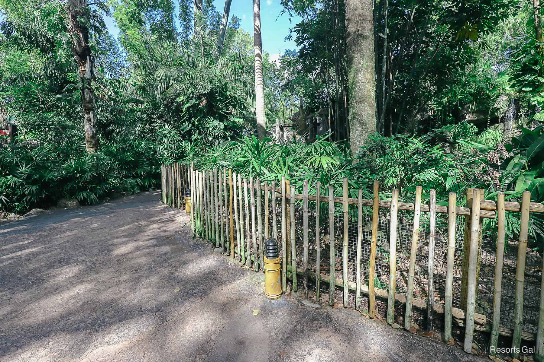 Pluto's meet-and-greet location in the Oasis when the area is empty