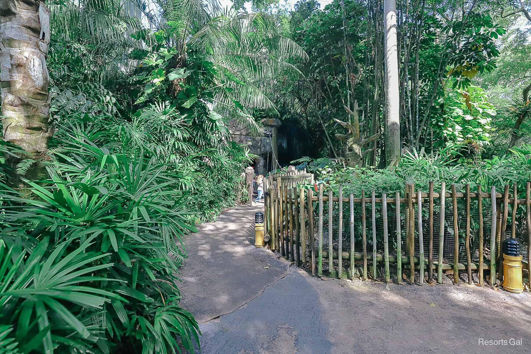 the path that leads to the suspension bridge in The Oasis where Pluto meets guests