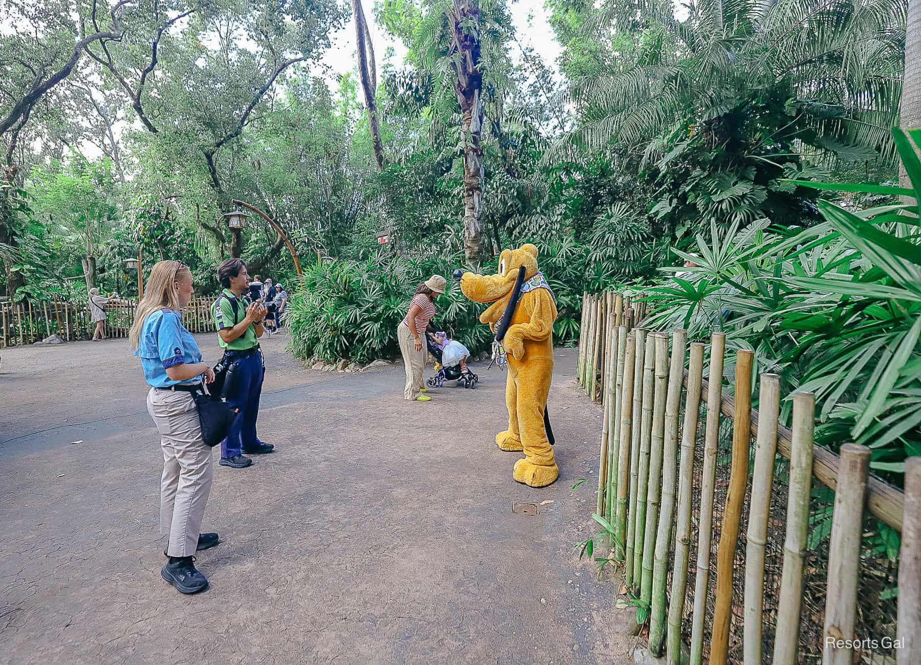 Pluto's meet-and-greet area when he's present.