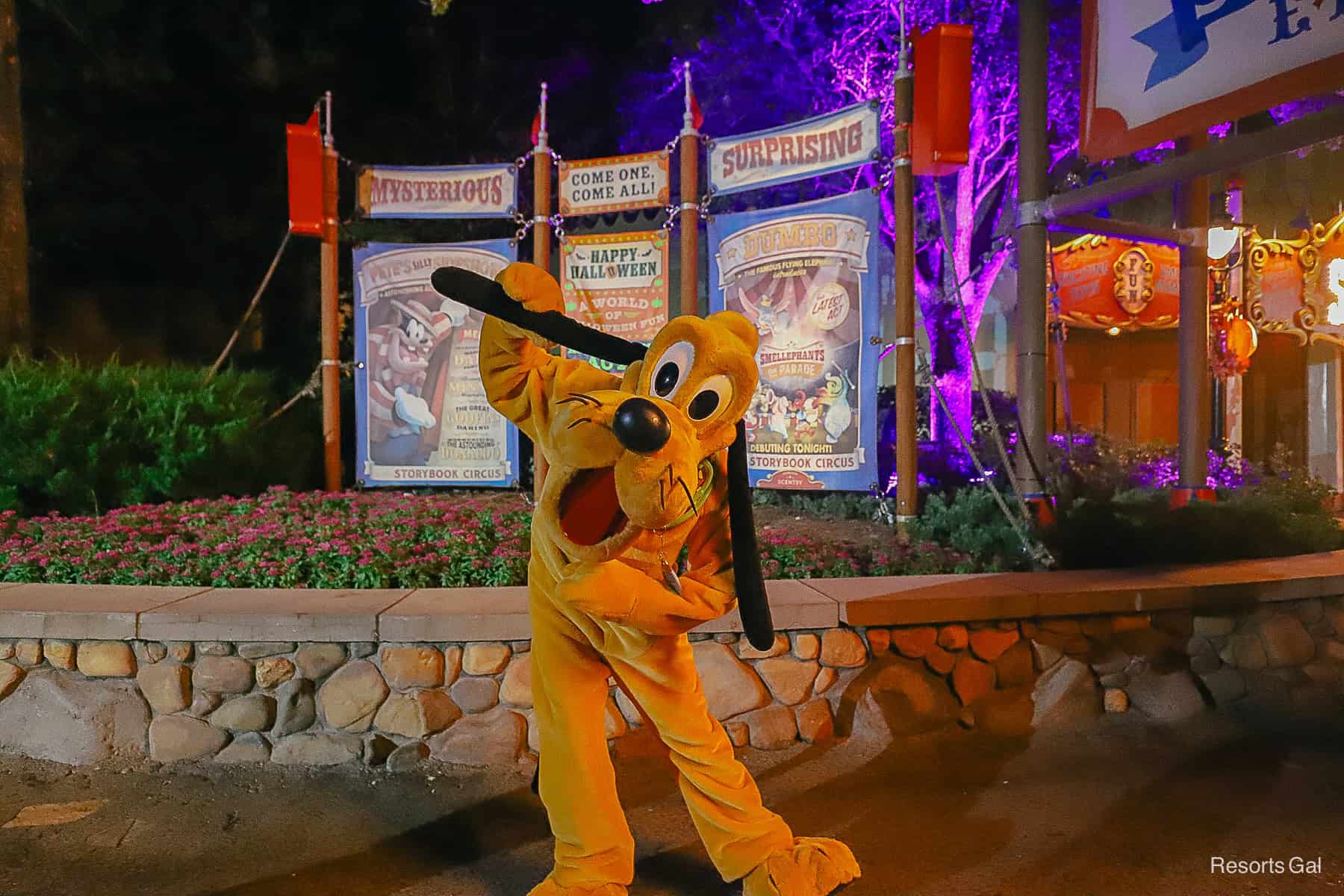 Pluto with one ear held up in front of Storybook Circus sign