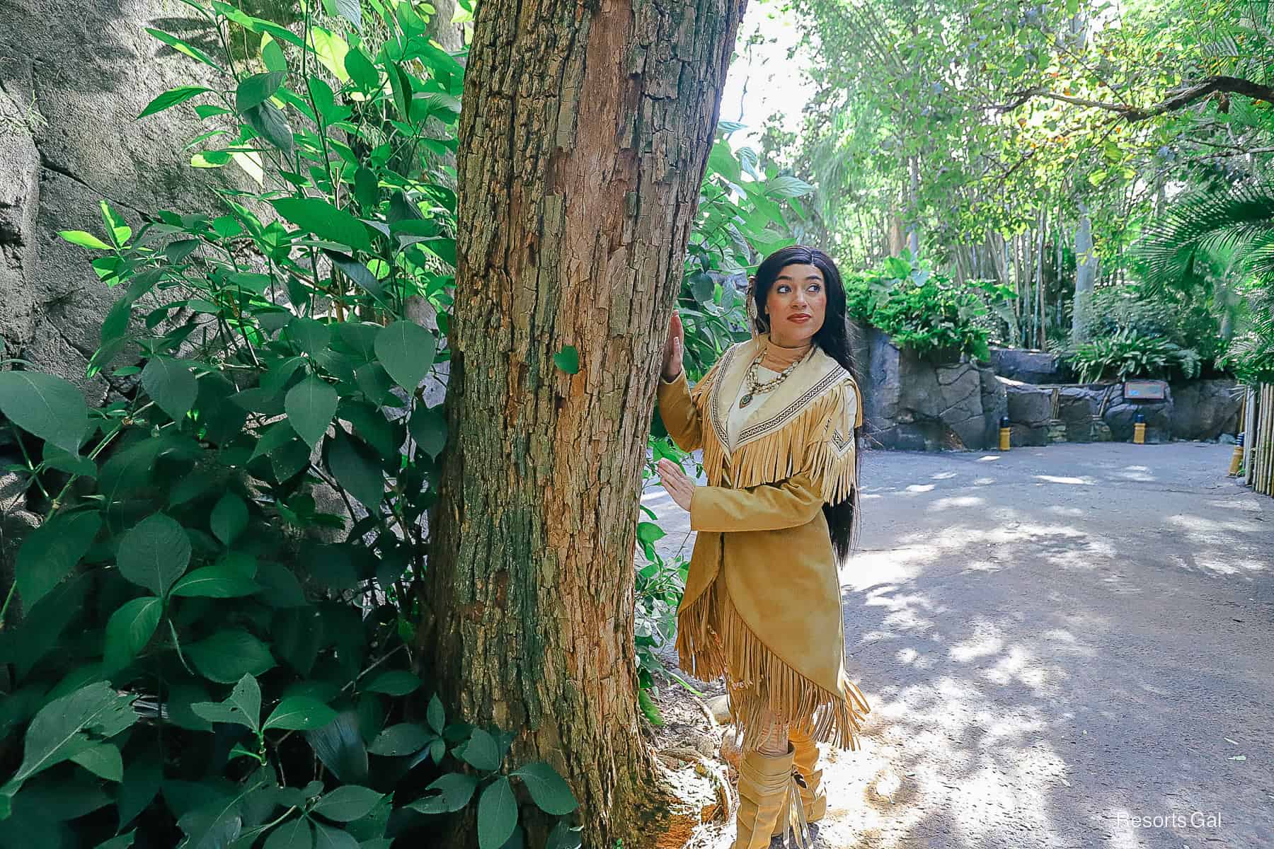 Pocahontas poses by a tree in her winter coat.