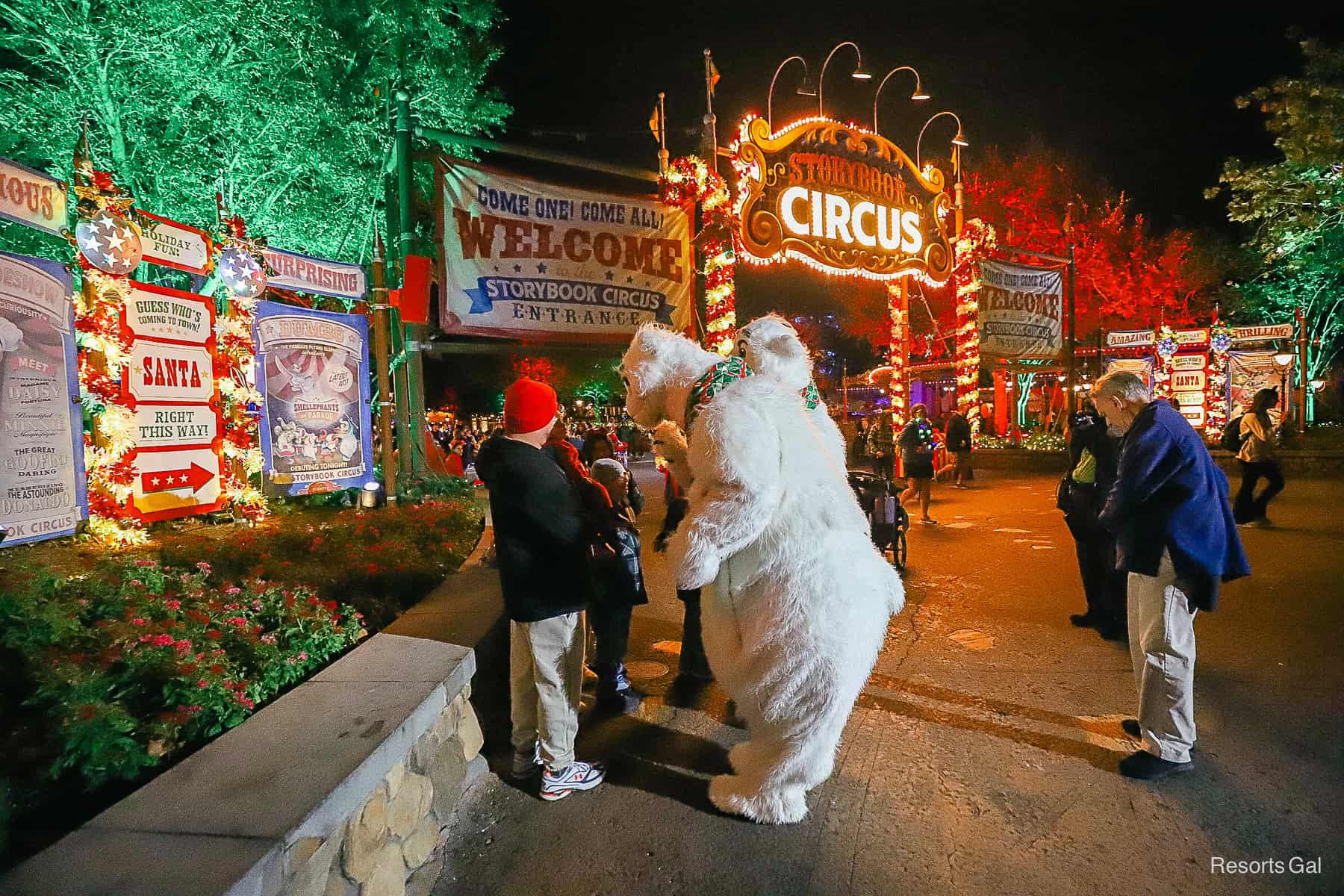 Polar Bears meeting outside the entrance of Storybook Circus at Mickey's Very Merry Christmas Party 