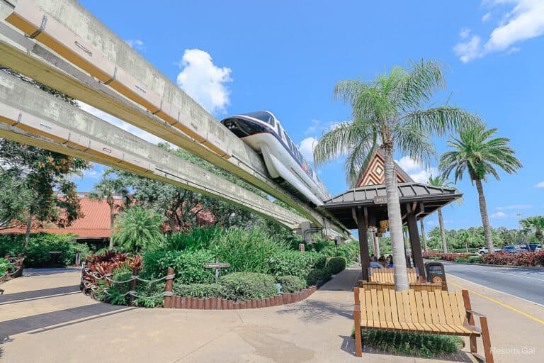 Disney’s Polynesian Village Resort Buses (Schedule, Stops, and Average Routes)
