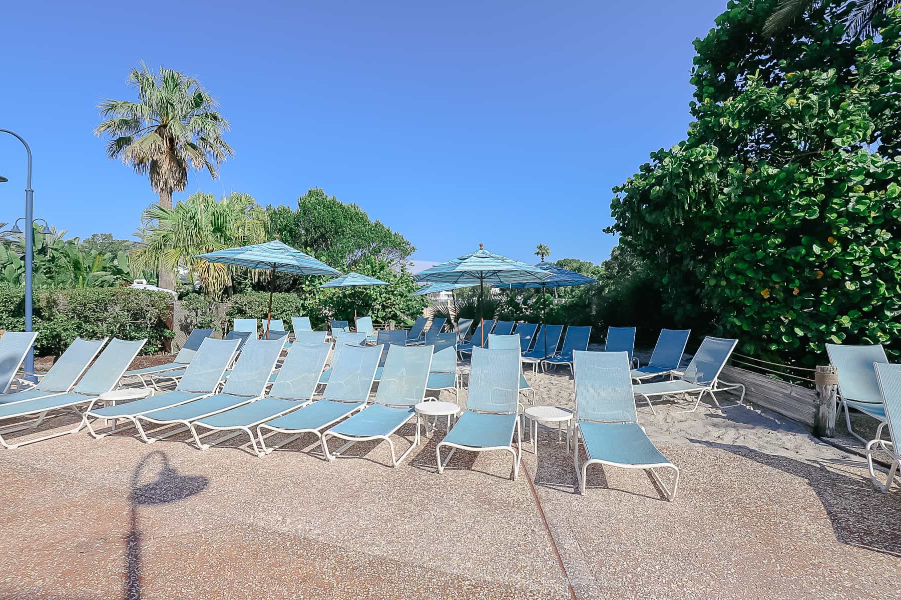 loungers surrounding the pool