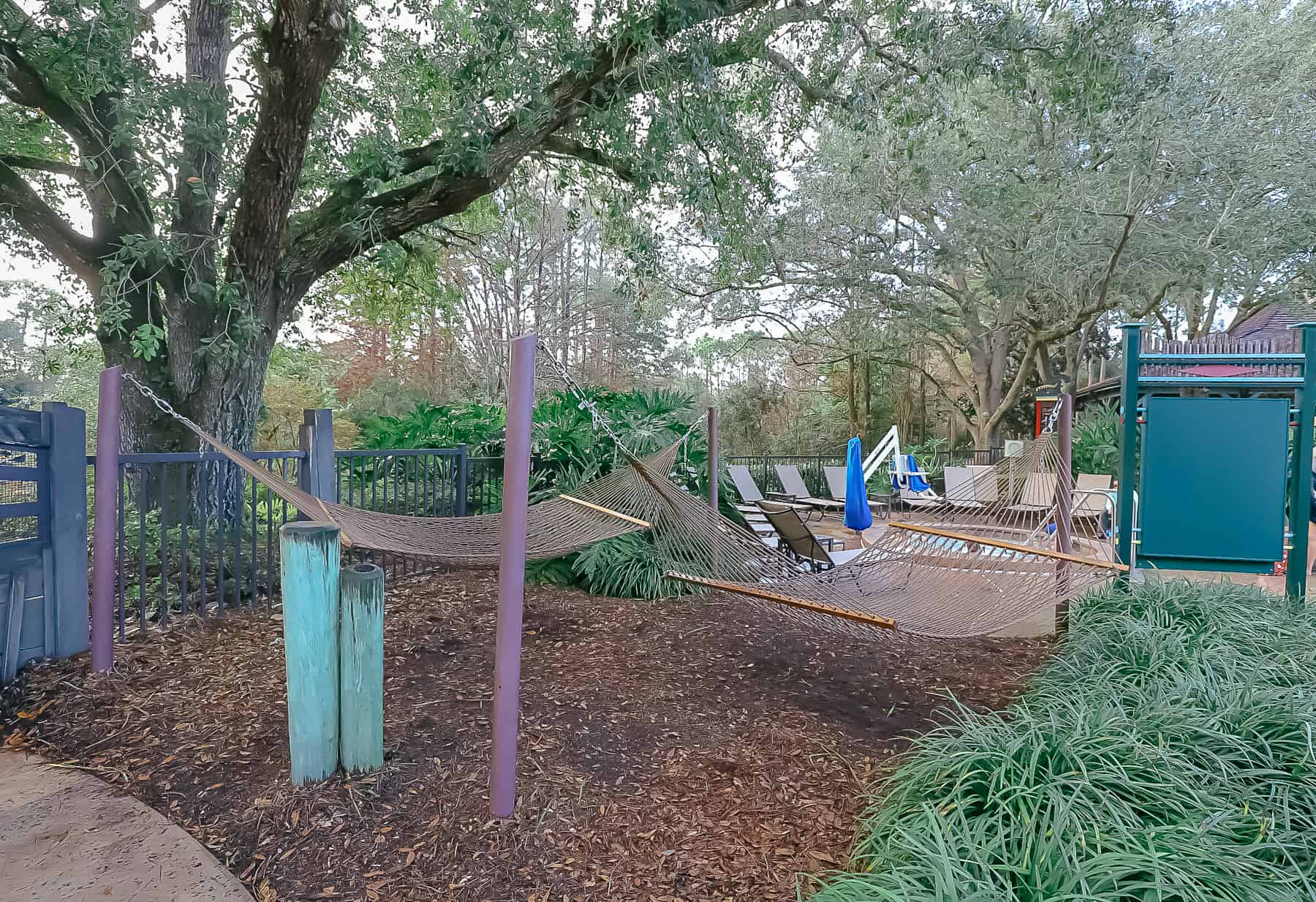 A hot tub sits behind the hammocks at Port Orleans Riverside Pool. 