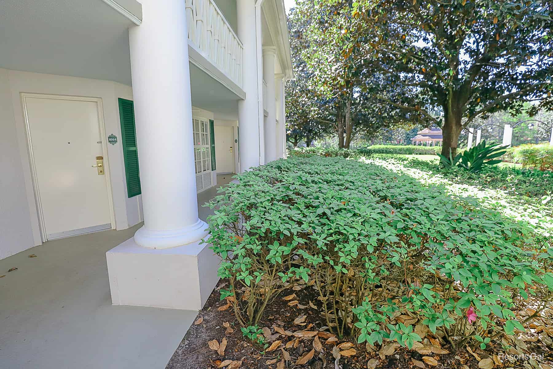 Magnolia Terrace mansion overhang near room area 