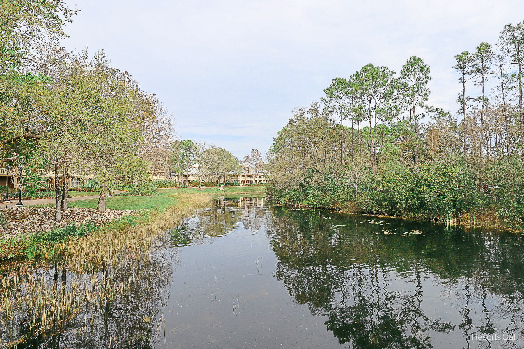 a view of the river bend at Port Orleans Riverside 