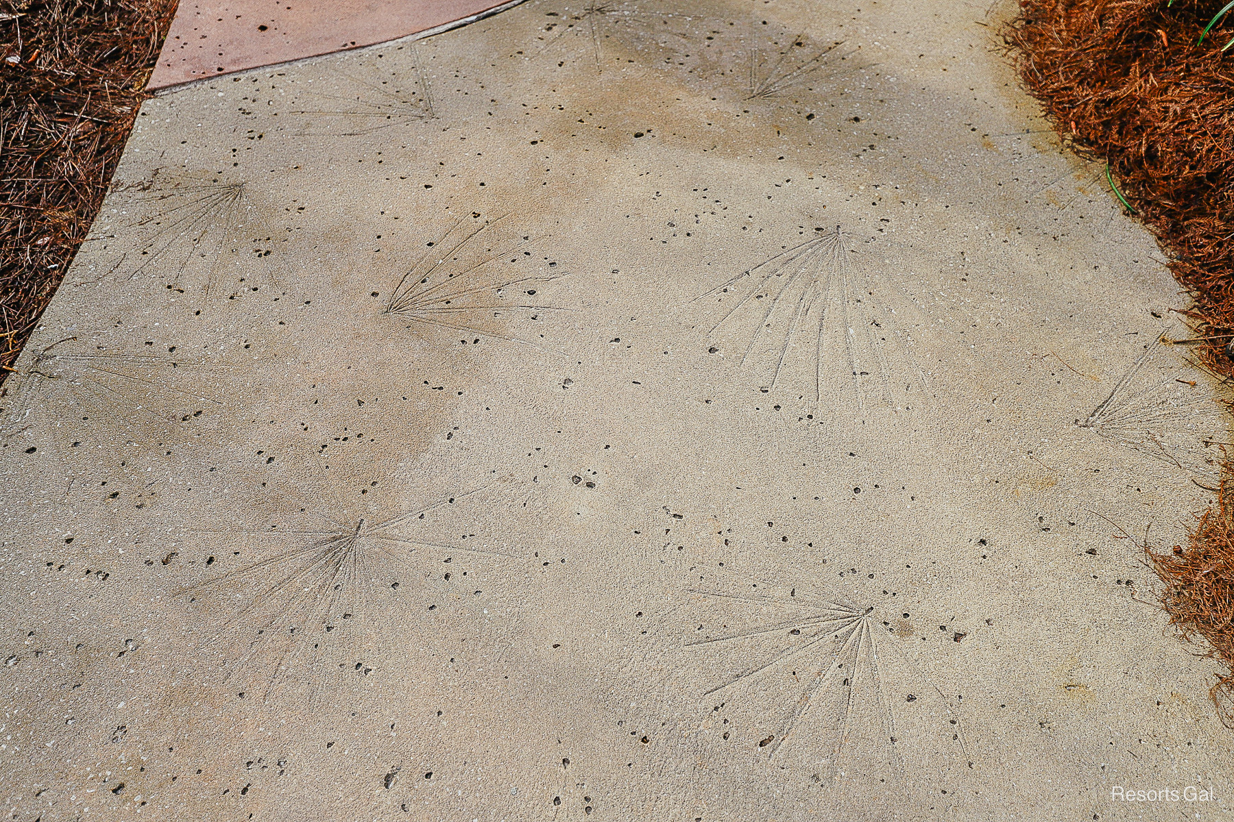 stamped concrete that looks like pine needles 