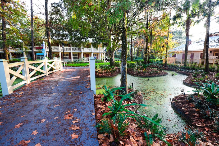 a swampy area with green moss covered ponds Port Orleans Riverside 