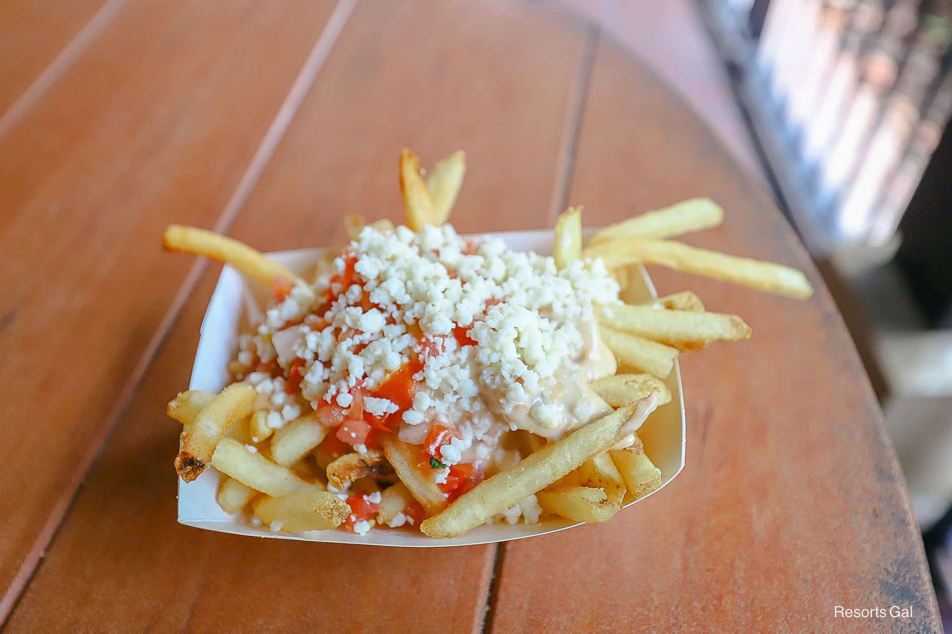 an order of queso fries from Pecos Bill at Magic Kingdom