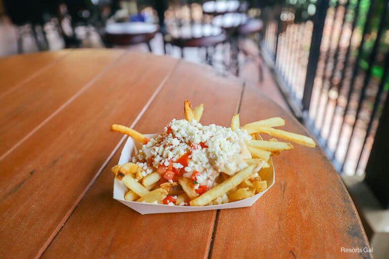 Queso Fries from Magic Kingdom