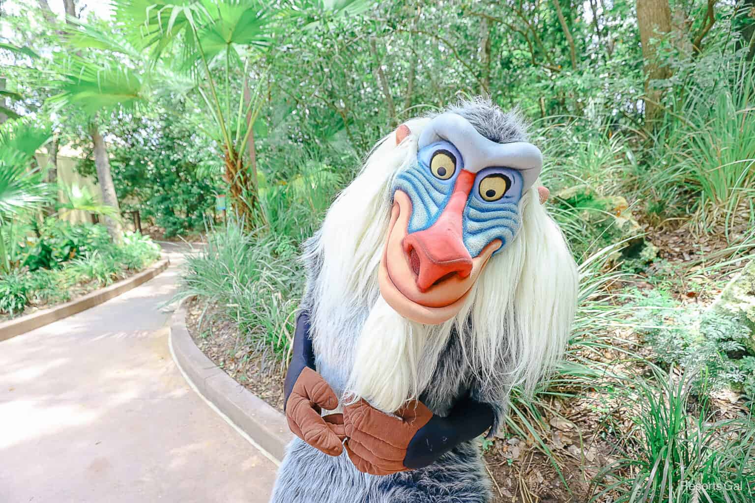 Timon Meet Timon and Rafiki Celebrate 'The Lion King' 30th Anniversary with Meet ...