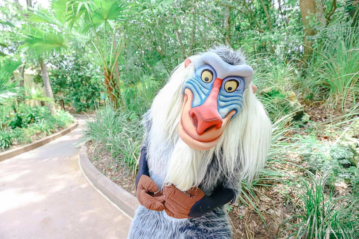 Meet Rafiki at Rafiki's Planet Watch at Disney's Animal Kingdom