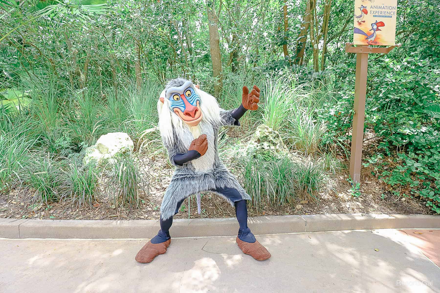 Rafiki waving to guests at Rafiki's Planet Watch