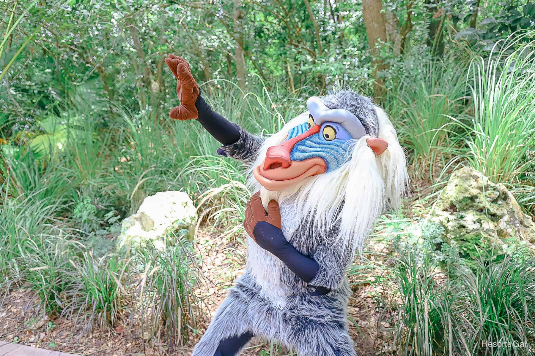 Rafiki poses for a photo at his character meet-and-greet.