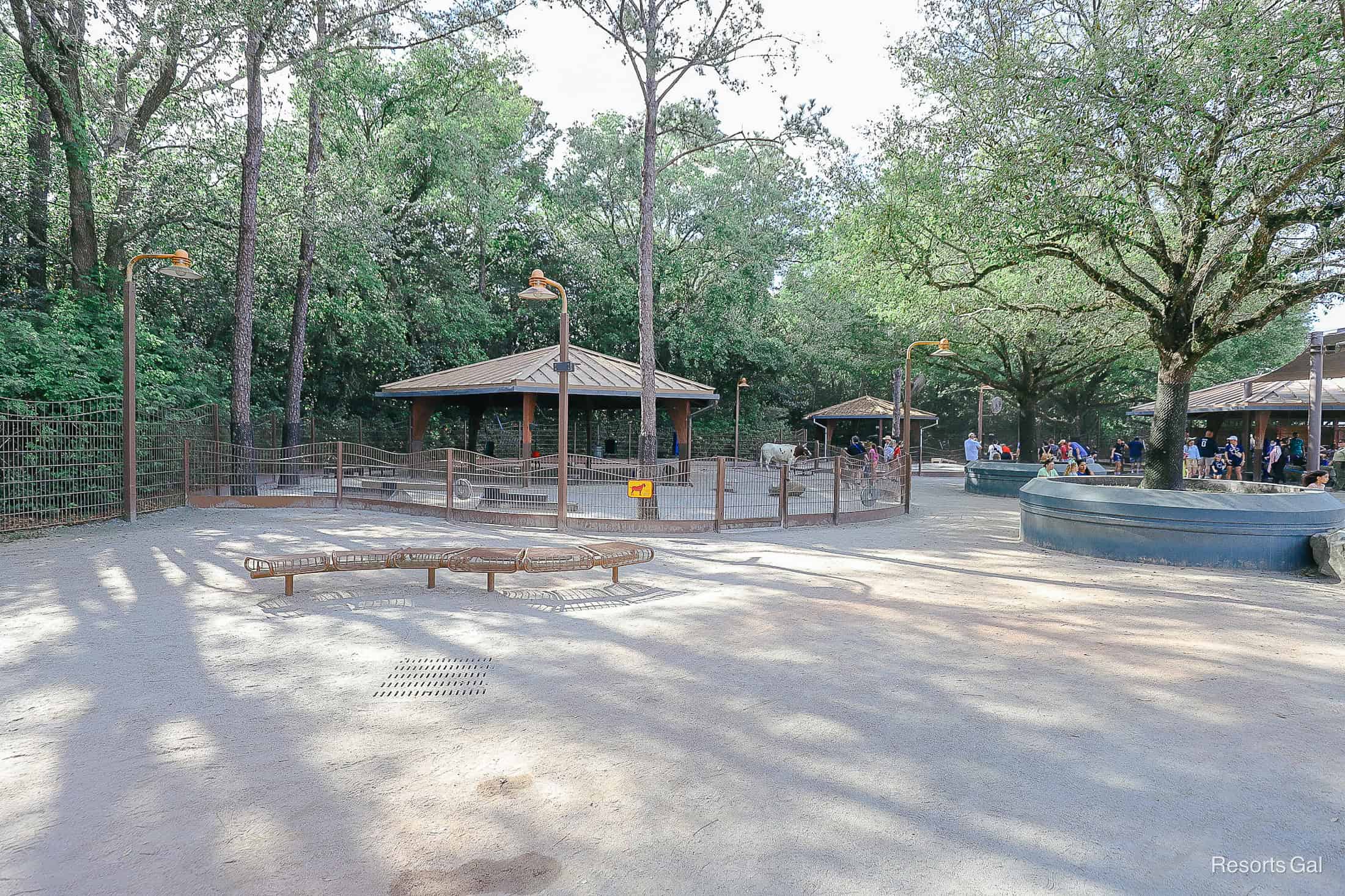 a view of the petting area from outside Affection Section 