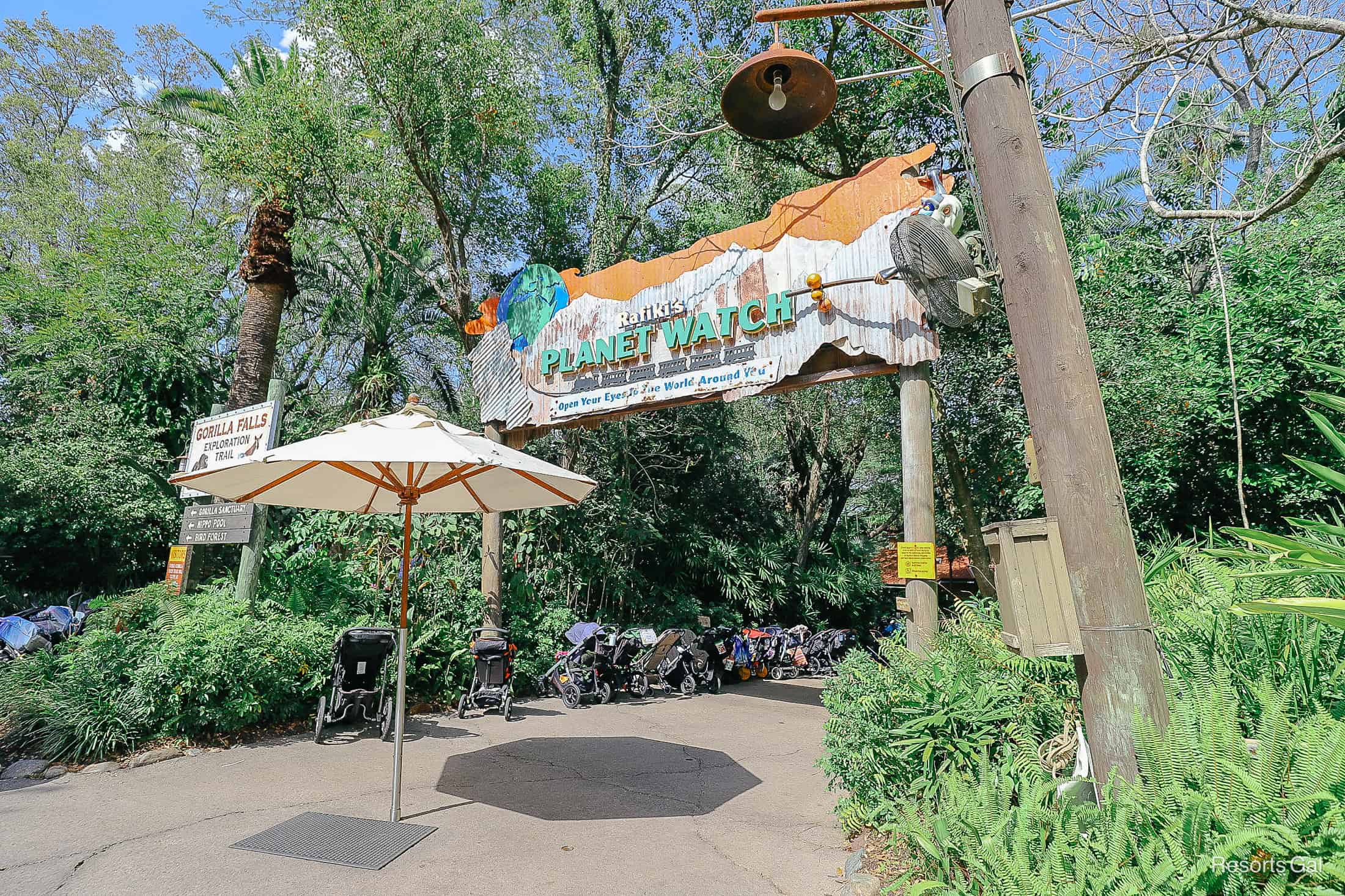 Stroller parking near the entrance of Rafiki's Planet Watch