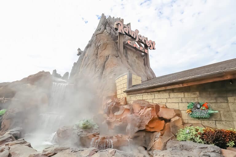 A Review of the Rainforest Cafe at Disney Springs