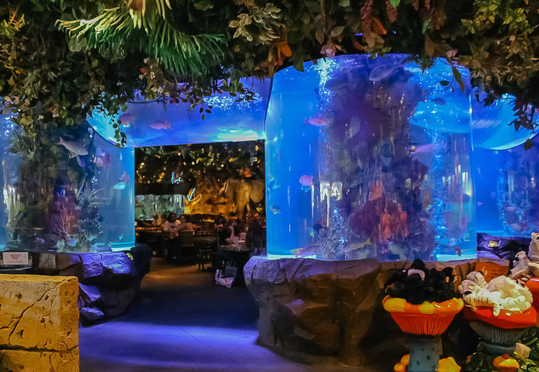 aquarium entrance at the Rainforest Cafe at Disney Springs 