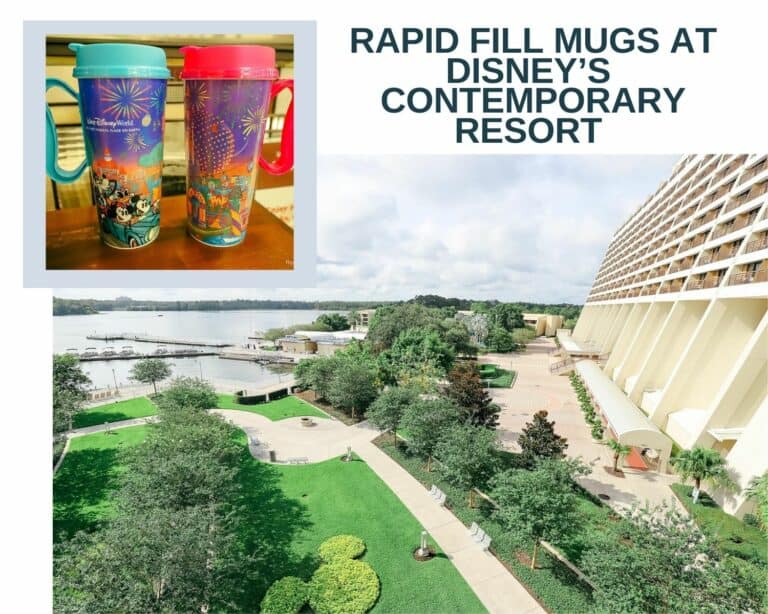Where to Refill Mugs at Disney’s Contemporary & Bay Lake Tower