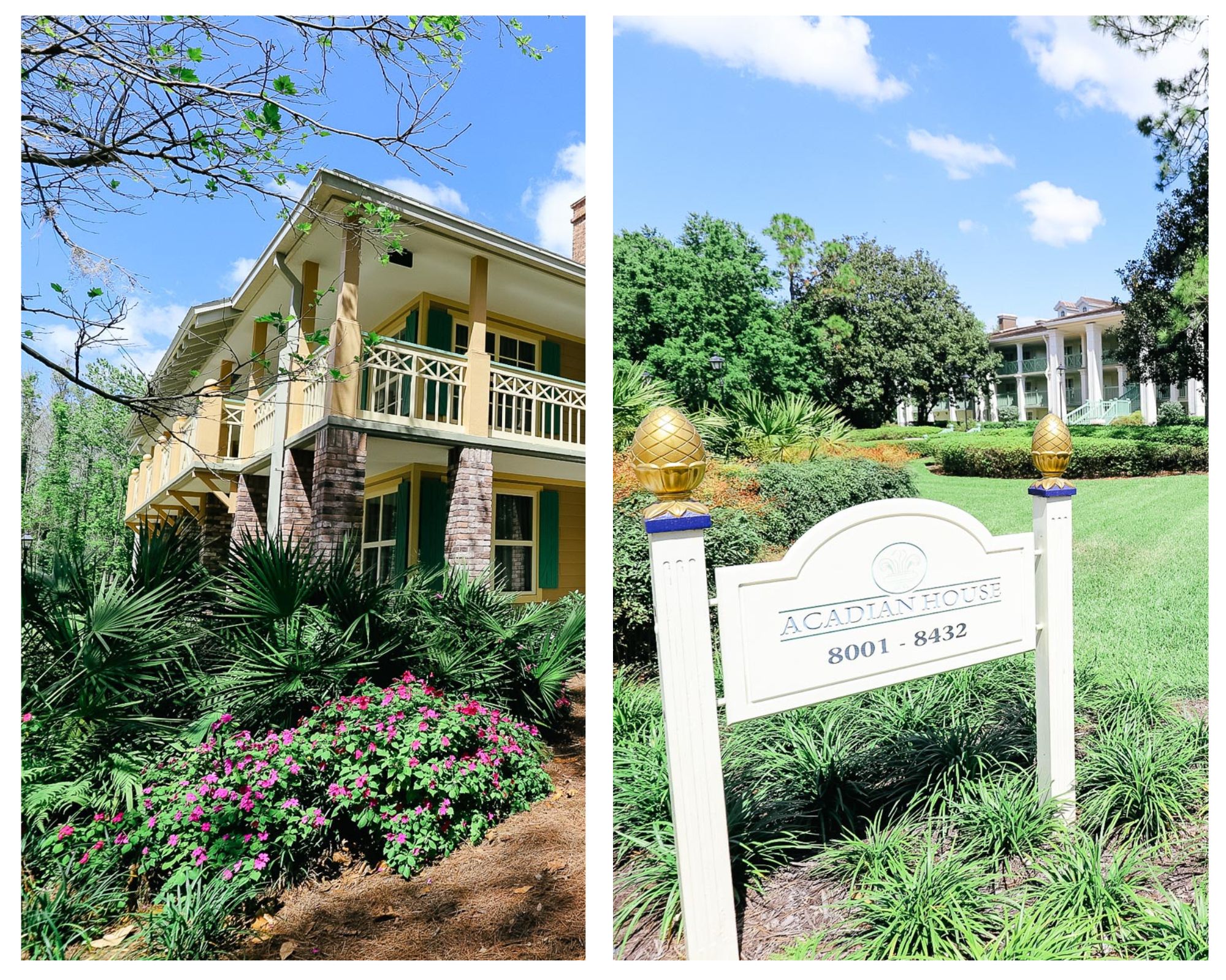 a side by side photo with an Alligator Bayou building on the left and an Acadian House photo on the right 